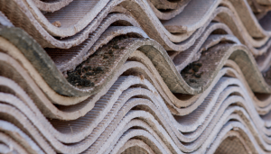 Asbestos Surveys Essex Asbestos Test Colchester Asbestos Survey